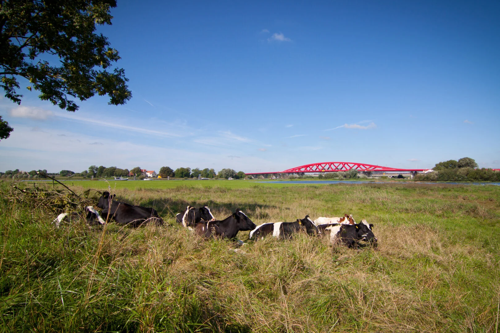IJsselbrug