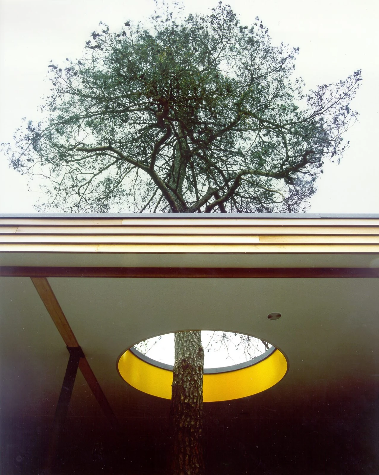 Bezoekerscentrum, Hoge Veluwe