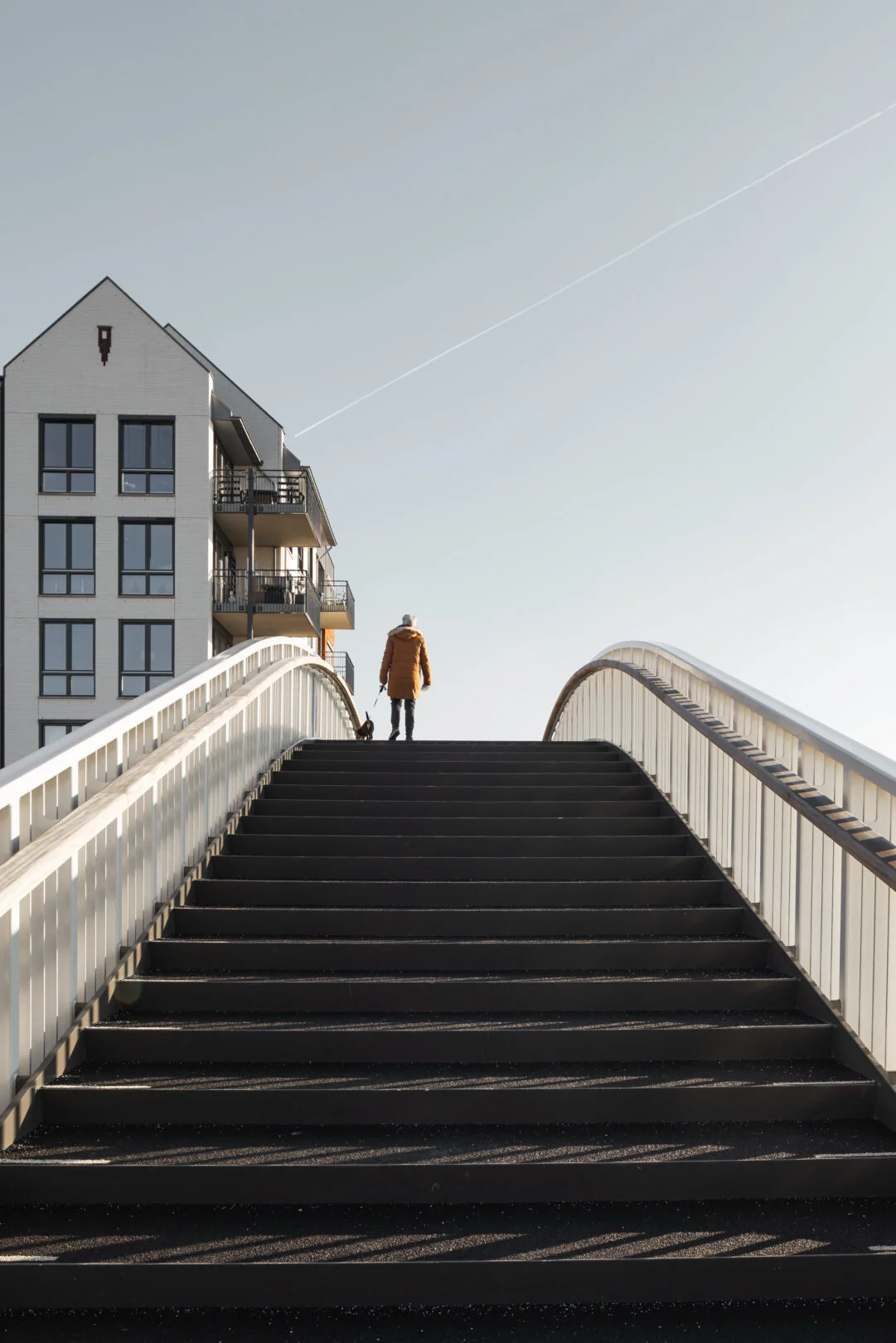Voetgangersbrug De IJsvogel